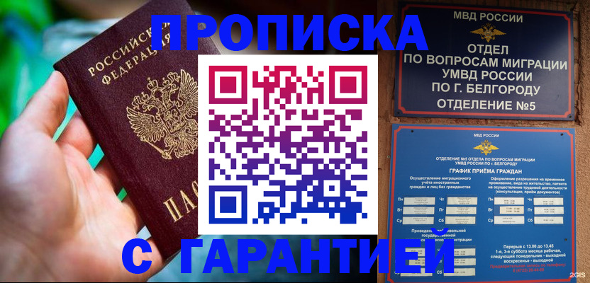 прописка для работы в Мончегорске